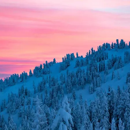 Neustift Near Stubai Lift Apartamento *