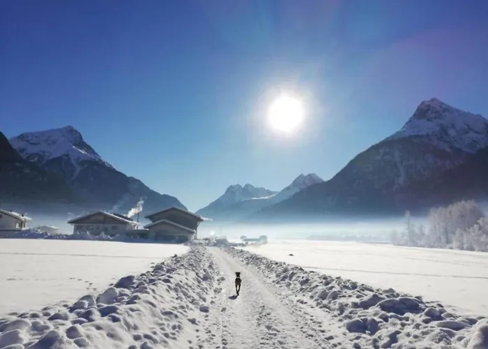 Neustift Near Stubai Lift Apartment *