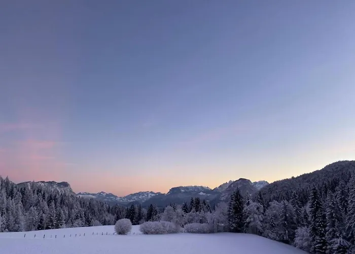 Neustift Near Stubai Lift Apartment