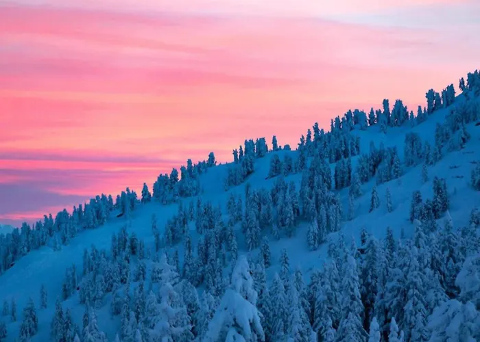 Neustift Near Stubai Lift Apartment *